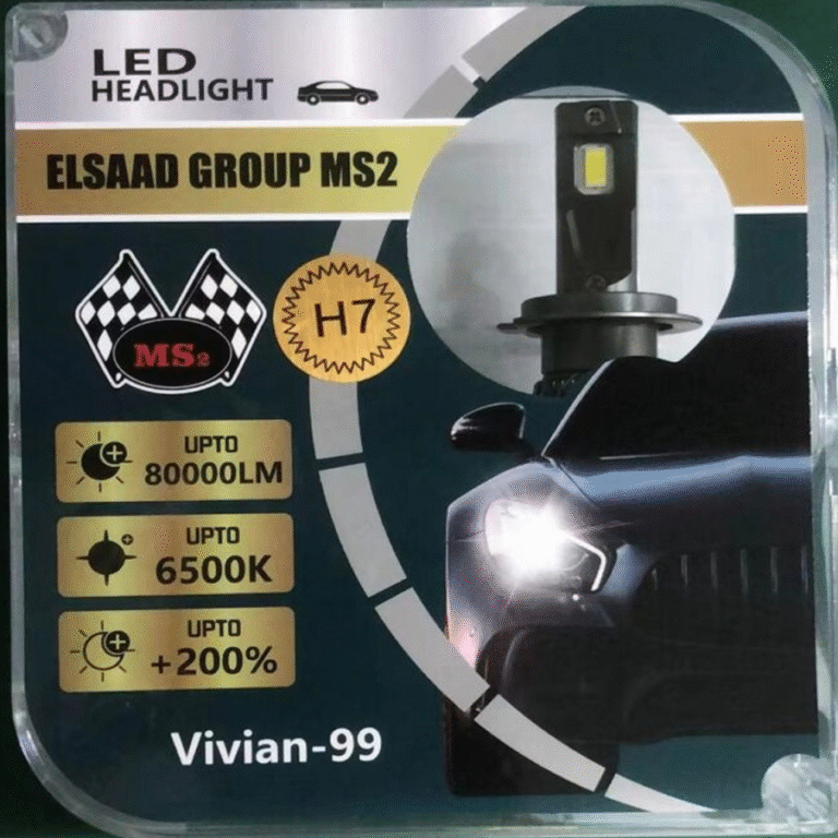 group elsaad ms2 vivian-99